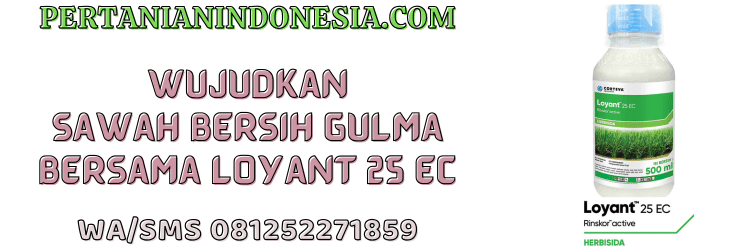 jual,murah,terjangkau,toko pertanian terdekat,pertanian indonesia